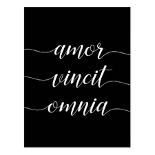 Amor Vincit Omnia Postcard Zazzle Com Latin Quotes Inspirational Amor Inspirational Words
