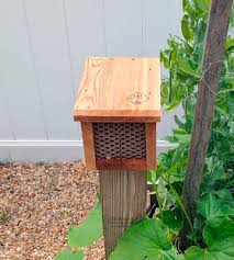 We did not find results for: 5 Best Bee Houses Reviews Of 2021 Bestadvisor Com