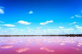 Wassersportler (zum beispiel windsurfer, schwimmer, segler) hingegen können entscheiden, ob ein spezieller schutz gegen unterkühlung im wasser erforderlich ist. Pink Lakes Rosa Seen Gibt Es Nicht Nur Im Marchen Urlaubsguru