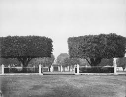 Pusat kayu jati belanda yogyakarta. Alun Alun Wikipedia