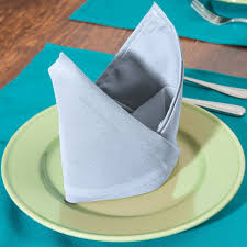 Intedge Light Blue 100 Polyester Cloth Napkins 20 X 20 12 Pack