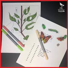 Have You Ordered Your Butterfly Kits This 3d Model Will Help Your Students Gain A Better Understanding Of The Butterfly Kit Butterfly Life Cycle Life Cycles