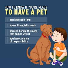 Or visit our product pages to share new ideas for future expansion. Pin On The Insured Pet