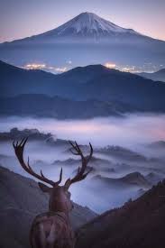 Wow Beautiful Nature Photography Art Naturephotographyart In 2020 Photography Inspiration Nature Beautiful Photography Nature Nature Photography