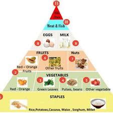 Vitamin d helps to regulate the amount of calcium and phosphate in the body, important for bone, teeth and muscle health. Examples Of Vitamins And Minerals Their Functions And Food Sources Download Table