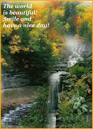 Reflections from Bon Bon Pond: TGIF!