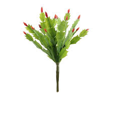 How to diy topiaries (paper mache) 14 comments crafts, decor, decorating, diy, projects, tutorial share it: Christmas Cactus Pick 10 Green Silk By Design