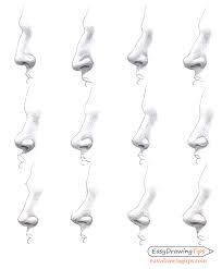 We found that the width of nose bridge, the endpoint of the bony part of our nose, is associated with the. How To Draw Different Nose Types Easydrawingtips