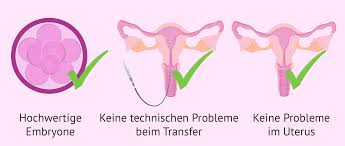Wann findet die einnistung statt und wie lange dauert sie? Einnistungsversagen Ursachen Symptome Und Behandlungen