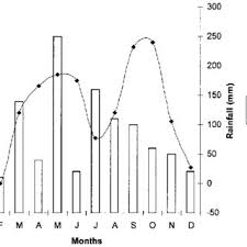 Image result for Stolzia cupuligera