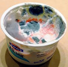 Cuanto Dura Un Yogurt Sin Refrigerar