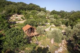 Cabin For Glamping In Olive Garden Bartula Montenegro Nature Camping Montenegro Olive Gardens