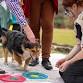 Dogs Day at Norman Lindsay Gallery