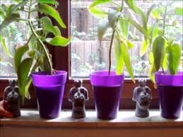 Wenn sie sich fragen, wie sie ihr kleines wohnzimmer gemütlich gestalten, ist es nicht nur wichtig neues wohnzimmer für neue energie; Wie Gestalte Ich Mein Wohnzimmer Youtube