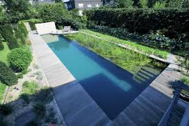 Naturpool Mit Grosser Filterzone Schwimmbader Hinterhof Diy Schwimmbad Coole Pools