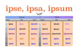 Vitis vera christus est, vitam et fecundi­ tatem tribuens palmitibus, scilicet nobis, qui per ecclesiam in ipso manemus, et sine quo nihil possumus facere (io. Ipse Ipsa Ipsum Latin Stuvia