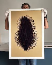 Image result for Magnistipula