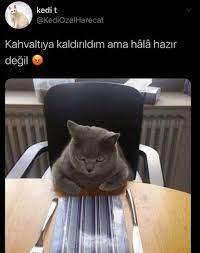 zehranur adli kullanicinin komik alintilar panosundaki pin komik komik seyler komik capsler