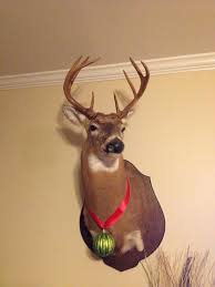 This Is What My Husband Gets For Hanging Dead Animals On The Wall I Think I M Going To Hang Smaller Ornaments From The Antlers Animals Antlers Hanging