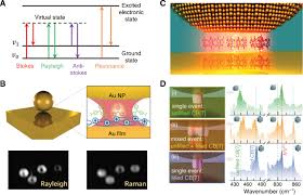 Changes in the value of 1 eurozone euro in leocoin. Plasmonic Particle On Film Nanocavities A Versatile Platform For Plasmon Enhanced Spectroscopy And Photochemistry