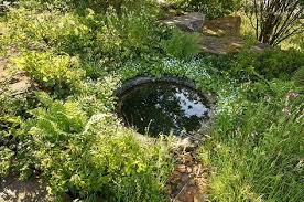 Sie zählt das für den garten genutzte wasser. 120 Kleine Wasserstellen Ideen Wasser Im Garten Wassergarten Garten