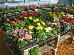We did not find results for: Florists Near New Richmond Wi