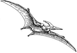 Free printable baby pterodactyl coloring page in vector format, easy to print from any device and automatically fit any paper size. Pterodactyl Pteranodon Coloring Page Coloring Sun