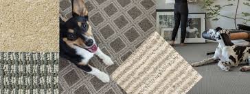 By the square foot, prices usually range from $7 to $11. Try Tuftex Carpet For Style And Pet Protection