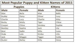 Cat Names List Female Goldenacresdogs Com
