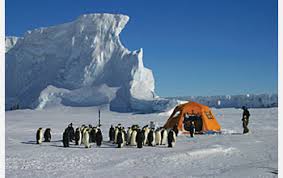 We often go shopping _____ fridays. A Season At The Penguin Ranch In Antarctica Nsf National Science Foundation