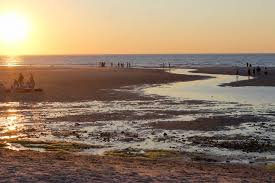 Mayflower Beach Cape Cod Ma Best Flower Site