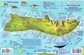 Things to do near claigan coral beach. Molokai Hawaii Map Coral Reef Creatures Guide Franko Maps Waterproof Fish Card Franko Maps Ltd Frank Nielsen 9781931494717 Amazon Com Books