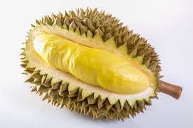 Durian Isolated On White Background Durian White Background Background