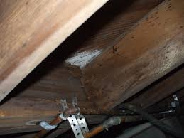 Unfortunately, in practice this can be difficult to achieve. Mold Control Mold In The Hudson Valley Corner Mold