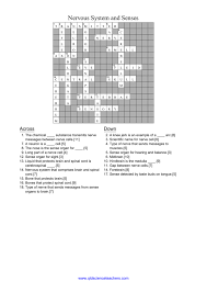 Das ist das neue ebay. Nervous System Senses Crossword Answers