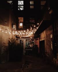 Abrittann Lights Photography Brown Aesthetic