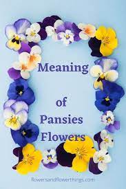Meaning Of Pansies Flowers Symbolism Flowersandflowerthings Pansies Flowers Pansies Easiest Flowers To Grow