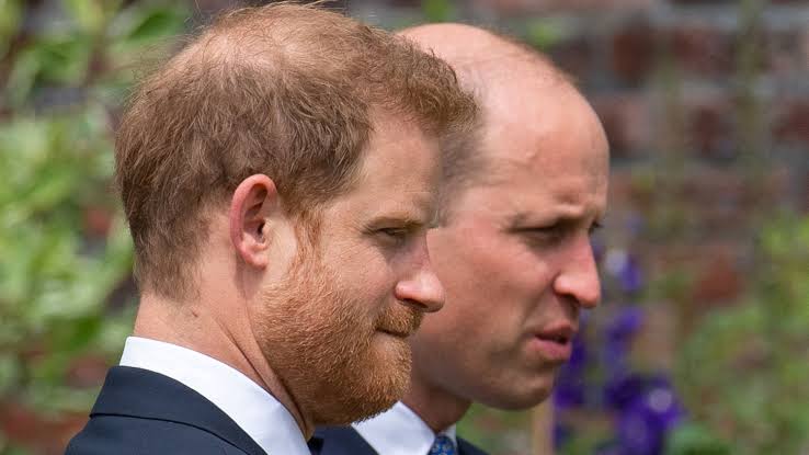 Prince Harry and Prince William Reconciliation 'Total Fantasy,' Source Says