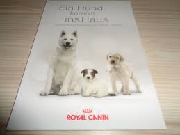 Seit 2013 machen wir als erster kanal auf youtube videos zur thematik hund. Ein Hund Kommt Ins Haus Bucher Gebraucht Antiquarisch Neu Kaufen