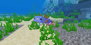 Jul 25, 2021 · not an official minecraft product. Axolotls Add On Minecraft Pe Mods Addons
