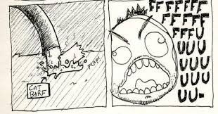 Image result for rage comic