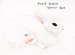 2020 state fair coloring book. Achievement Unlocked At The Minnesota Fair Sketchout Urban Sketchers