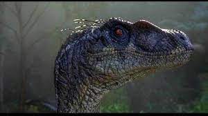 These velociraptor jurassic park 3 available on the site are made from distinct optimal quality materials such as fiberglass, pvc, galvanized products, frp you can find distinct velociraptor jurassic park 3 in the form of rides that can accommodate more than 500 people every hour. The Raptors Jurassic Park I Ii And Iii Velociraptor Jurassic Park Jurassic Park Jurassic Park 3 Dinosaurs