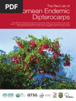 Image result for Vanwykia remota