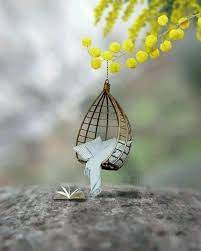Pin By Lalu Me On Something Nice Miniature Photography Beautiful Wallpapers Backgrounds Cute Wallpapers