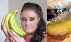 World S Most Deadly Spiders Burst Out Of Asda Bananas Daily Mail Online