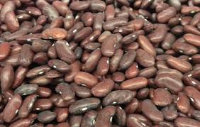 Eating Raw Kidney Beans Can Be Toxic Answerline Iowa State University Extension And Outreach