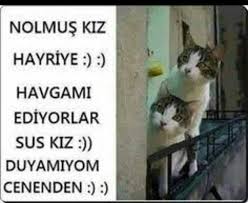 Ilvenn Adli Kullanicinin Lol Panosundaki Pin 2020 Komik Goruntuler Komik Resimler Komik Capsler