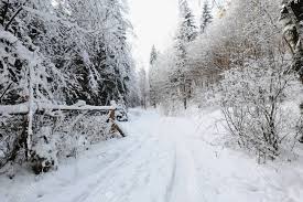 Van echte zwitserse experts bij zwitserland toerisme, de nationale organisatie voor toerisme. Winterlandschap Met Sneeuw In Tsjechie Zwitserland Royalty Vrije Foto Plaatjes Beelden En Stock Fotografie Image 84933545