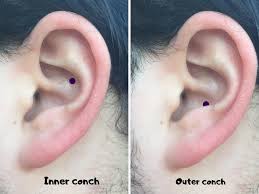 Conch Piercings How Much They Hurt Cost And What They